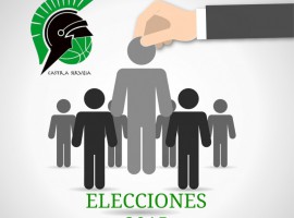 ELECCIONES 2015
